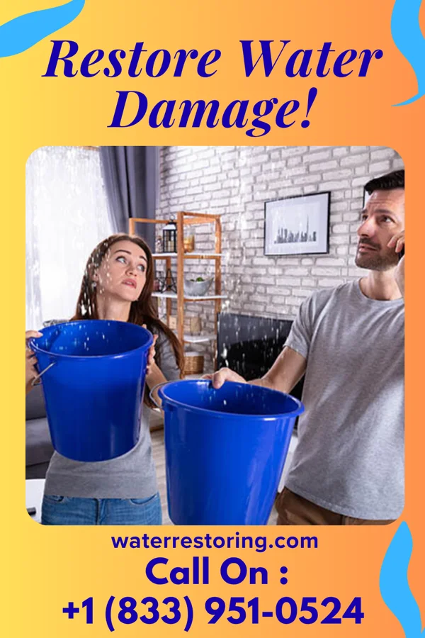 water restoration Horizon Damage Restoration Masters Brewer