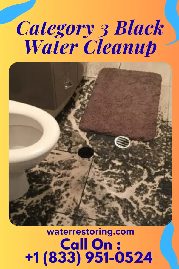 Category 3 Black Water Cleanup in Brewer, ME