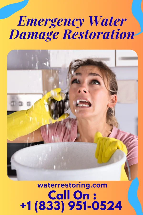 Emergency Water Damage Restoration in Brewer, ME