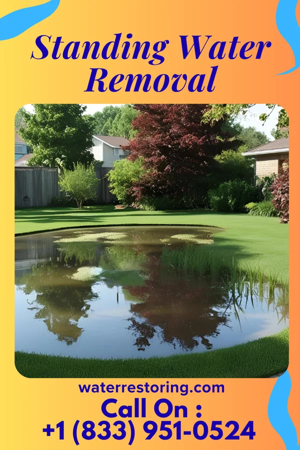 Standing Water Removal in Brewer, ME